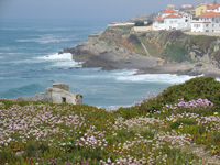 picture of Praia Das Macas